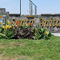 City Image